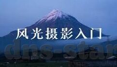 出售森林舞会老虎机-出售森林舞会老虎机，一个灰色市场的隐秘角落