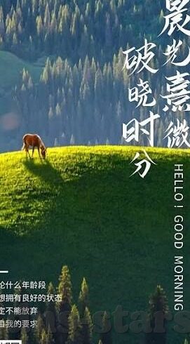 韩国足球比分-韩国足球，从比分背后看绿茵场上的坚韧与变革